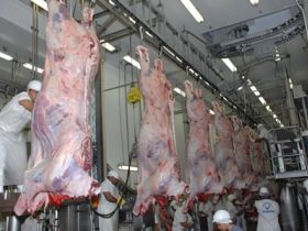 Setor agropecuário terá mais atenção em questões de mercado externo 