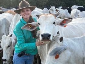 ABCZ Mulher promove bate-papo ‘Manejo nada nas mãos: o bem-estar animal’