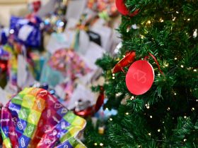 Corrente do bem: Associação dos Funcionários da ABCZ apadrinha mais de 140 cartinhas na campanha Papai Noel dos Correios