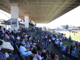 Com palanque cheio, ExpoZebu anuncia Grandes Campeões 