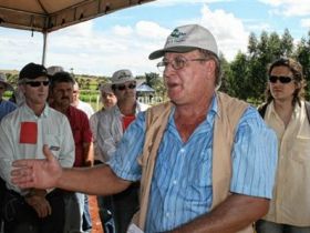 ABCZ promove dia de campo com participação do papa da Integração Lavoura-Pecuária-Floresta