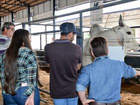 2ª ExpoLeite: Feiras Pró-Genética e Pró-Fêmeas são destaque da programação