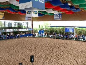 2ª ExpoLeite: confira a programação do último dia da feira