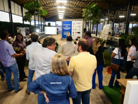 5º Concurso Leiteiro de Fazenda divulga campeãs