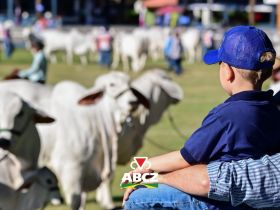 Confira os destaques da programação desta quinta-feira (30) na 91ª ExpoZebu