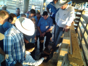 ABCZ segue crescendo, apesar da crise