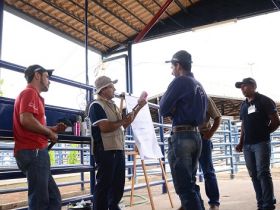 Associação de Brahman e SENAR Minas firmarão parceria na ExpoBrahman 2017