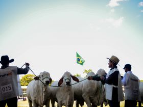 88ª ExpoZebu: confira a programação para esta sexta-feira (5)