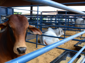 Último dia: inscrições para PNAT 2020 terminam nesta sexta-feira (3)