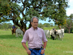 Presidente da ABCZ debate questões da pecuária no TO
