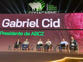 Importância da genética Zebu pura melhoradora na pecuária de corte é destaque no primeiro dia do Conacarne, em Belo Horizonte (MG)