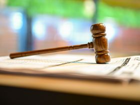 Leilões da ExpoGenética já movimentaram mais de R$ 56,5 milhões