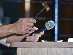 16ª ExpoGenética: leilões já movimentaram mais de 13 milhões de reais