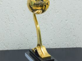 Arnaldo recebe Nelore de Ouro em SP