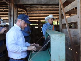 ABCZ e ACNT darão início a Prova de Ganho em Peso em Silvanópolis (TO), no próximo sábado (22)