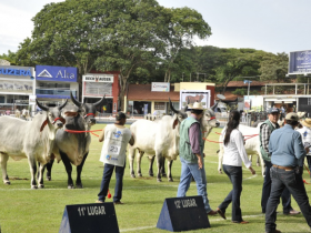 ExpoZebu 2015 termina com faturamento de R$46,4 milhões