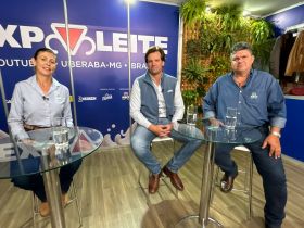 Durante live técnica, ABCZ lança ranking dos rebanhos participantes do PMGZ Leite Max, edição 2024