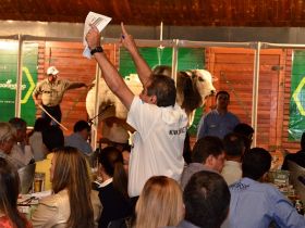 Leilões da ExpoGenética movimentam mercado de touros