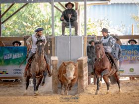 ABCZ na Expointer: Entidade é representada em reunião com ABCCC