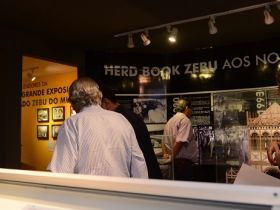 Visitantes da ExpoGenética poderão acompanhar a Mostra dos 100 anos da ABCZ