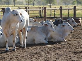 Lista de candidatos ao PNAT 2021 já está disponível para consulta