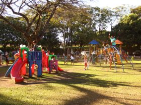 Nova gestão da ABCZ amplia atuação social no Parque Fernando Costa