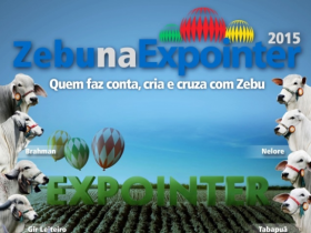 Participação de raças zebuínas cresce 15% na Expointer 