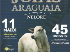 ?10º Leilão Joias do Araguaia? vai oferecer 45 touros Nelore