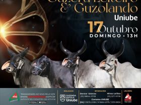 Está chegando o Leilão Virtual Guzerá e Guzolando Uniube 