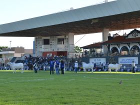 Jurados da ExpoZebu 2022 serão anunciados nesta sexta-feira (08)