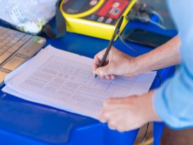 Animais que participarão dos julgamentos da 89ª ExpoZebu passam por pesagem