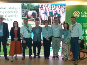 ABCZ destaca protagonismo da pecuária sustentável na COP 30, em Belém (PA)