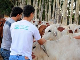 Vestibular da FAZU desperta interesse internacional