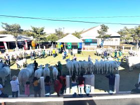 ABCZ marca presença na 48ª Expocorrente