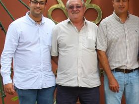 Associação Goiana de Nelore confirma PMGZ como programa oficial