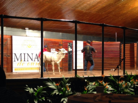 Expoinel Minas 2015 fecha com resultado positivo