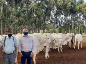  ?Zebu: Carne de Qualidade? recebe visita do pecuarista José Humberto Vilela Martins