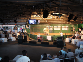 Vitrine e Desfile de Touros apresentam promessas da genética zebuína