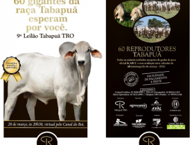 ?9º Leilão Tabapuã TRO? vai oferecer 60 reprodutores