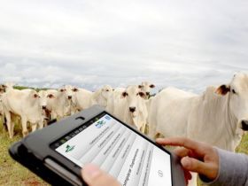 Tecnologia da Informação é usada em softwares para Agronegócio