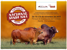 Sindi prepara Nacional 2014