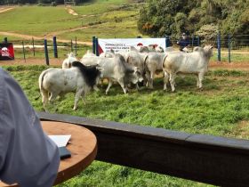 ABCZ participa do encerramento da 3ª Prova de Eficiência Alimentar da Confraria da Carcaça Nelore 