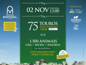 ?16º Leilão Martendal? será realizado na próxima segunda (02)