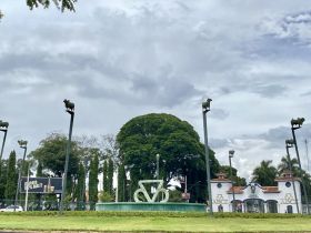 Réplicas oficiais das raças zebuínas são instaladas no Memorial do Zebu