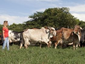 ABCZ lamenta morte de Maria Stela Barretto de Figueiredo Santos