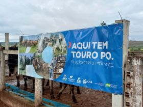 Sucesso da Feira de Touros do Pró-Genética em Comendador Gomes