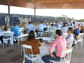 Zebu a Campo agita Pavilhão Multiuso na ExpoZebu