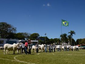 90ª ExpoZebu: inscrições pelo site da ABCZ são encerradas