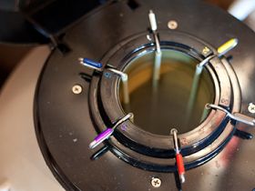 Aberto mercado de sêmen bovino para Israel