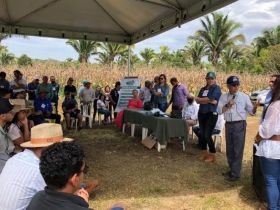 Dias de Campo do Integra Zebu são realizados no Tocantins